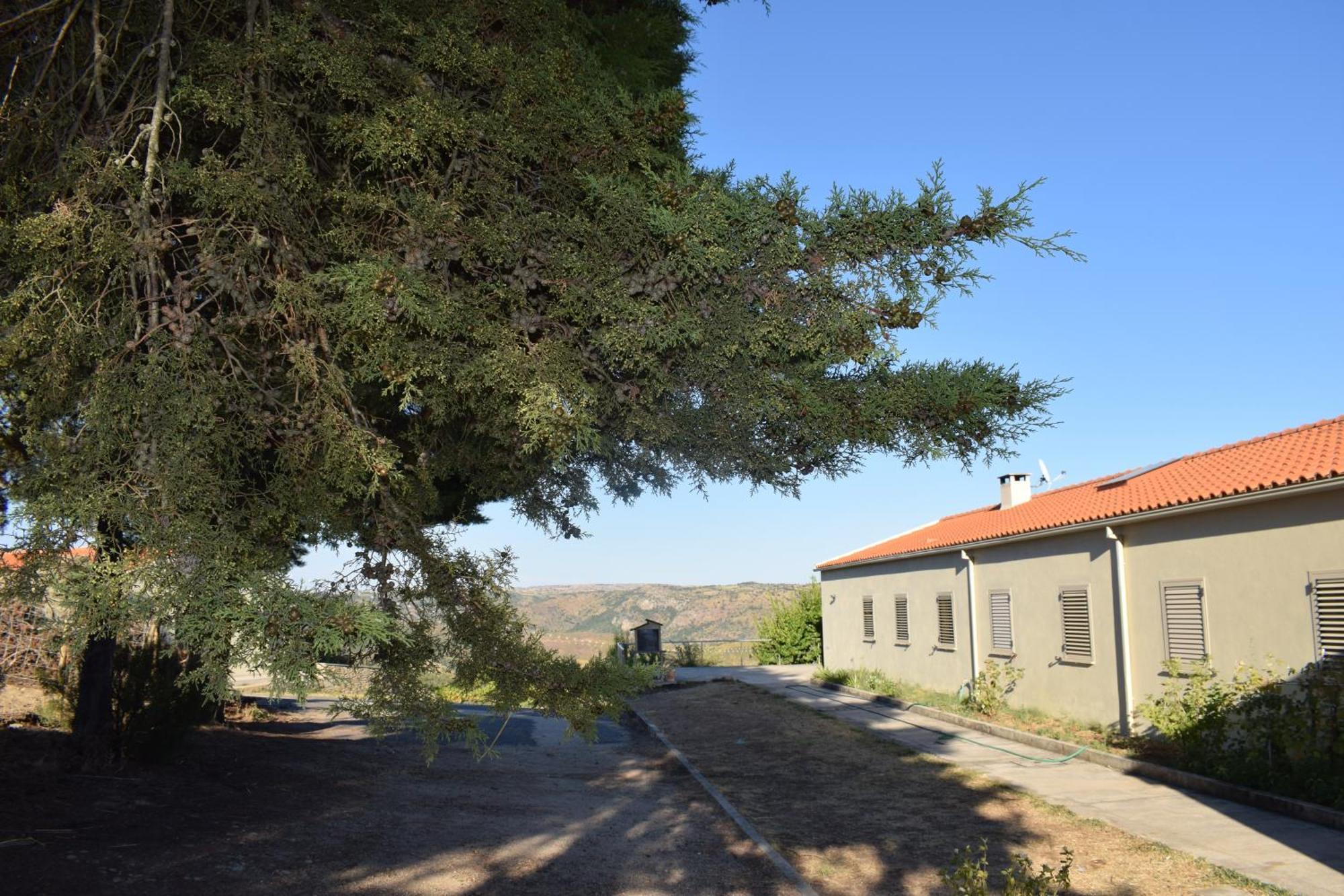 Douro Natura Bemposta  Exterior photo