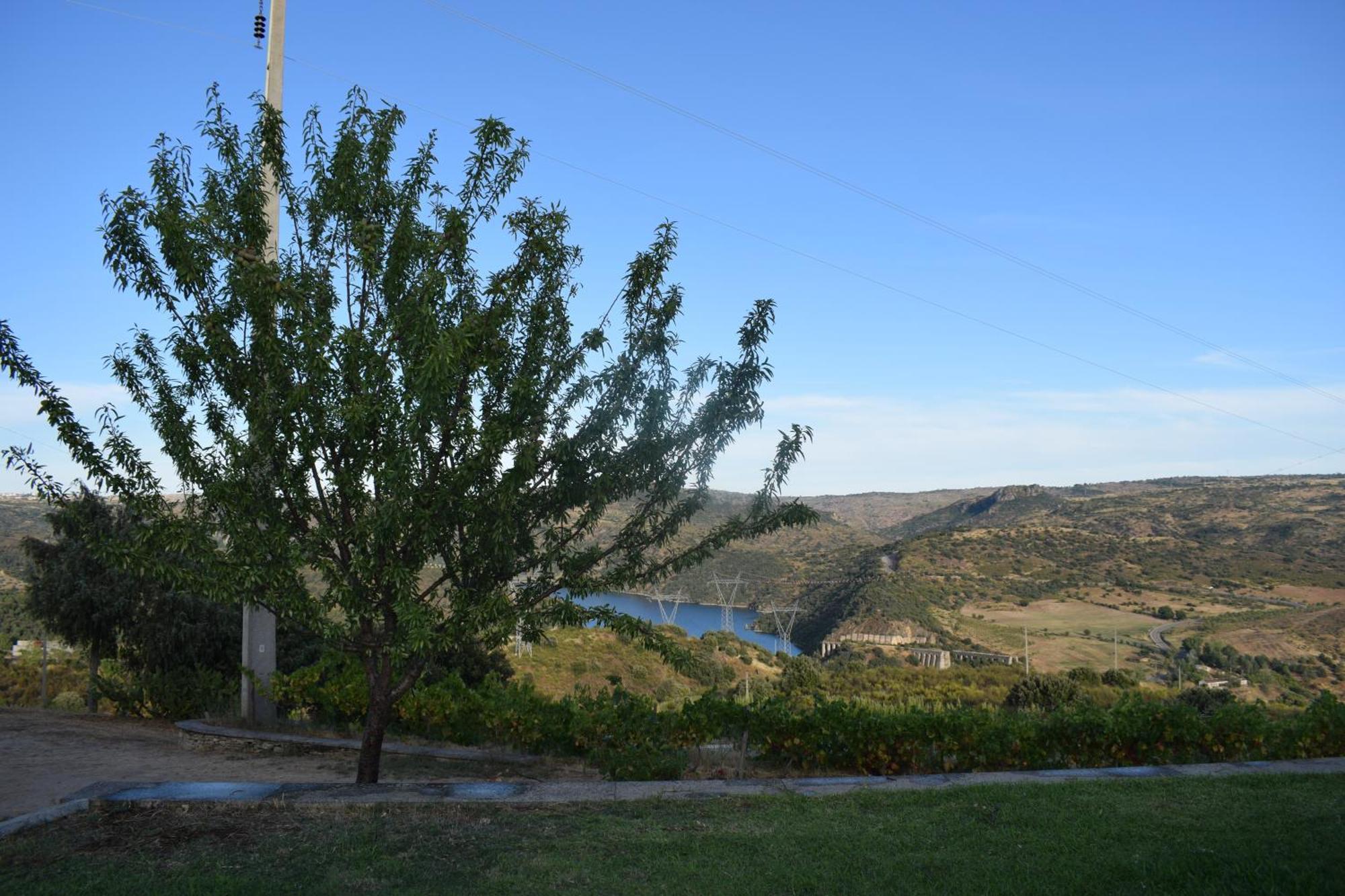 Douro Natura Bemposta  Exterior photo